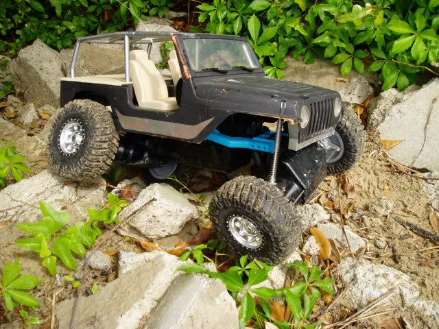 nylint rc rock crawler